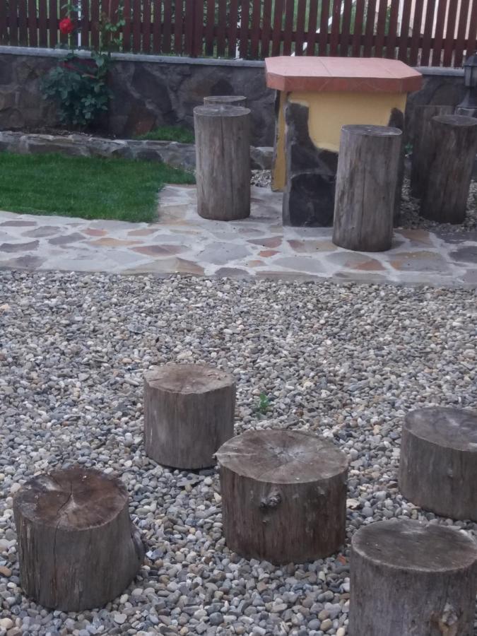 Casa Vlasea Albesti Sighisoara Bed and Breakfast Exterior foto